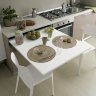 Выдвижной стол ATIM Lunch